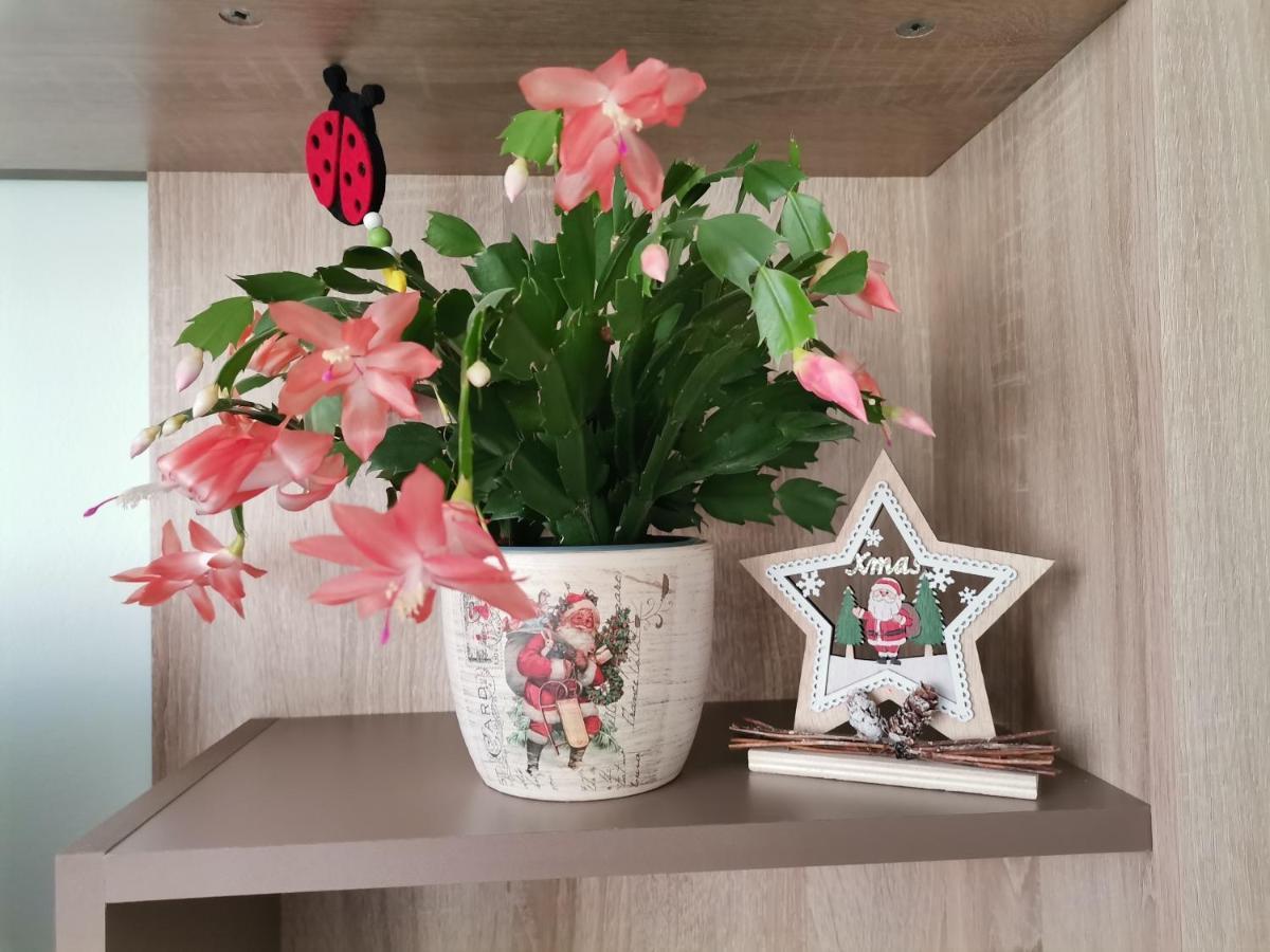Apartament Giulia Apartment ฟาการาช ภายนอก รูปภาพ